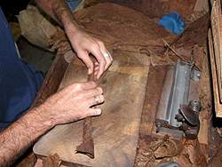 20080511055324-torcido-07.jpg