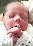 20081125215332-nacen.jpg