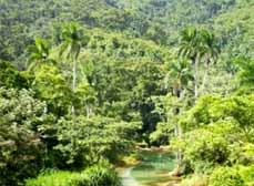 20090322014808-1.jpg