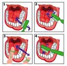 20090404002114-dientes.jpg