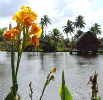20090515182300-zapata.jpg