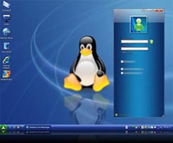 20091025015306-linux.jpg