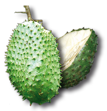 20100729195136-guanabana.png