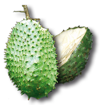 20100729195558-guanabana.png